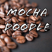 Mocha Doodle